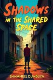 Shadows in the Shared Space (eBook, ePUB) Shadows in the Shared Space (eBook, ePUB)