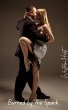 Burned by the Spark (The Flame and Vow... - Bild 1