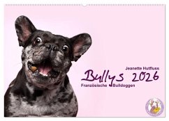 Bullys - Französische Bulldoggen 2026 (Wandkalender 2026 DIN A2 quer), CALVENDO Monatskalender