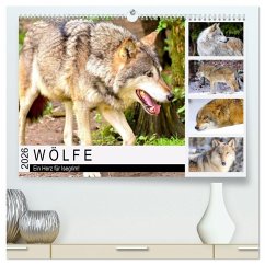 Wölfe. Ein Herz für Isegrim! (hochwertiger Premium Wandkalender 2026 DIN A2 quer), Kunstdruck in Hochglanz