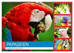 Papageien. Knallbunte Aras und Co. (Wandkalender 2026 DIN A2 quer), CALVENDO Monatskalender