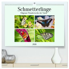 Schmetterlinge - Filigrane Wunderwerke der Natur (hochwertiger Premium Wandkalender 2026 DIN A2 quer), Kunstdruck in Hochglanz