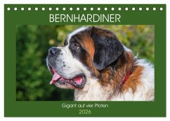 Bernhardiner - Gigant auf vier Pfoten (Tischkalender 2026 DIN A5 quer), CALVENDO Monatskalender Bernhardiner - Gigant auf vier Pfoten (Tischkalender 2026 DIN A5 quer), CALVENDO Monatskalender