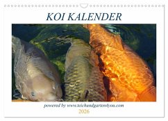 Koikichi Kalender 2026 (Wandkalender 2026 DIN A3 quer), CALVENDO Monatskalender