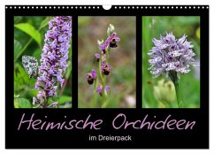 Cover Heimische Orchideen im Dreierpack (Wandkalender 2026 DIN A3 quer), CALVENDO Monatskalender