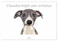 Charakterköpfe zum verlieben (Wandkalender 2026 DIN A2 quer), CALVENDO Monatskalender Charakterköpfe zum verlieben (Wandkalender 2026 DIN A2 quer), CALVENDO Monatskalender