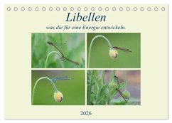 Libellen, was die für eine Energie entwickeln. (Tischkalender 2026 DIN A5 quer), CALVENDO Monatskalender