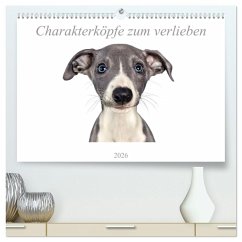 Charakterköpfe zum verlieben (hochwertiger Premium Wandkalender 2026 DIN A2 quer), Kunstdruck in Hochglanz Charakterköpfe zum verlieben (hochwertiger Premium Wandkalender 2026 DIN A2 quer), Kunstdruck in Hochglanz