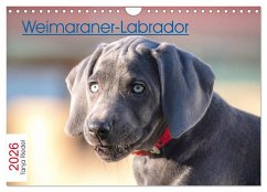 Cover Weimaraner-Labrador (Wandkalender 2026 DIN A4 quer), CALVENDO Monatskalender