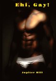 Ehi, Gay!