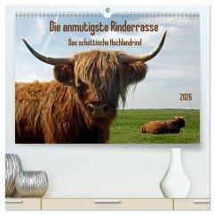 Cover Die anmutigste Rinderrasse - Das schottische Hochlandrind (hochwertiger Premium Wandkalender 2026 DIN A2 quer), Kunstdruck in Hochglanz