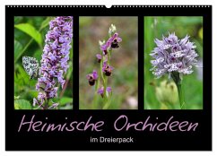 Cover Heimische Orchideen im Dreierpack (Wandkalender 2026 DIN A2 quer), CALVENDO Monatskalender