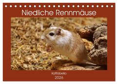Cover Niedliche Rennmäuse (Tischkalender 2026 DIN A5 quer), CALVENDO Monatskalender