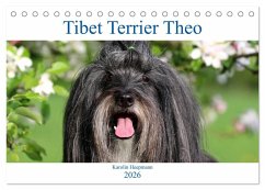 Tibet Terrier Theo (Tischkalender 2026 DIN A5 quer), CALVENDO Monatskalender