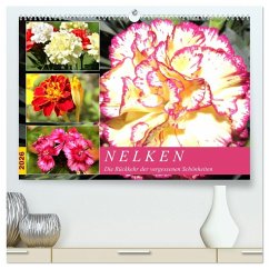 Nelken. Die Rückkehr der vergessenen Schönheiten (hochwertiger Premium Wandkalender 2026 DIN A2 quer), Kunstdruck in Hochglanz Cover Nelken. Die Rückkehr der vergessenen Schönheiten (hochwertiger Premium Wandkalender 2026 DIN A2 quer), Kunstdruck in Hochglanz