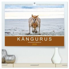 Kängurus, sprunghafte Gesellen (hochwertiger Premium Wandkalender 2026 DIN A2 quer), Kunstdruck in Hochglanz