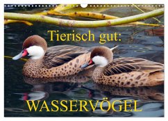Tierisch gut: Wasservögel (Wandkalender 2026 DIN A3 quer), CALVENDO Monatskalender