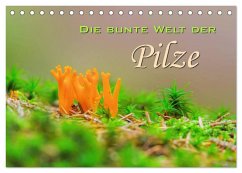 Cover Die bunte Welt der Pilze (Tischkalender 2026 DIN A5 quer), CALVENDO Monatskalender