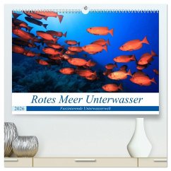 Rotes Meer Unterwasser (hochwertiger Premium Wandkalender 2026 DIN A2 quer), Kunstdruck in Hochglanz