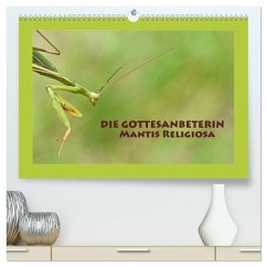 Die Gottesanbeterin Mantis Religiosa (hochwertiger Premium Wandkalender 2026 DIN A2 quer), Kunstdruck in Hochglanz Die Gottesanbeterin Mantis Religiosa (hochwertiger Premium Wandkalender 2026 DIN A2 quer), Kunstdruck in Hochglanz
