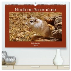 Cover Niedliche Rennmäuse (hochwertiger Premium Wandkalender 2026 DIN A2 quer), Kunstdruck in Hochglanz