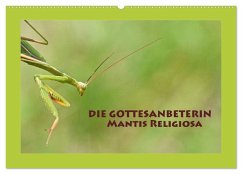 Die Gottesanbeterin Mantis Religiosa (Wandkalender 2026 DIN A2 quer), CALVENDO Monatskalender Die Gottesanbeterin Mantis Religiosa (Wandkalender 2026 DIN A2 quer), CALVENDO Monatskalender
