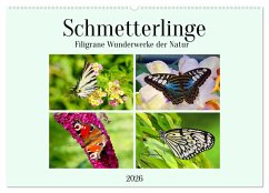 Cover Schmetterlinge - Filigrane Wunderwerke der Natur (Wandkalender 2026 DIN A2 quer), CALVENDO Monatskalender