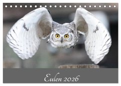 Eulen 2026 (Tischkalender 2026 DIN A5 quer), CALVENDO Monatskalender Eulen 2026 (Tischkalender 2026 DIN A5 quer), CALVENDO Monatskalender