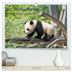 Der Große Panda Ein kuscheliger Geselle (hochwertiger Premium Wandkalender 2026 DIN A2 quer), Kunstdruck in Hochglanz