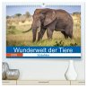 Wunderwelt der Tiere - Südafrika... - Bild 1