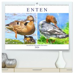 Enten. Bezaubernde und beliebte Schwimmer (hochwertiger Premium Wandkalender 2026 DIN A2 quer), Kunstdruck in Hochglanz