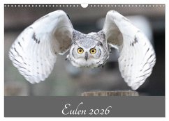 Eulen 2026 (Wandkalender 2026 DIN A3 quer), CALVENDO Monatskalender Eulen 2026 (Wandkalender 2026 DIN A3 quer), CALVENDO Monatskalender