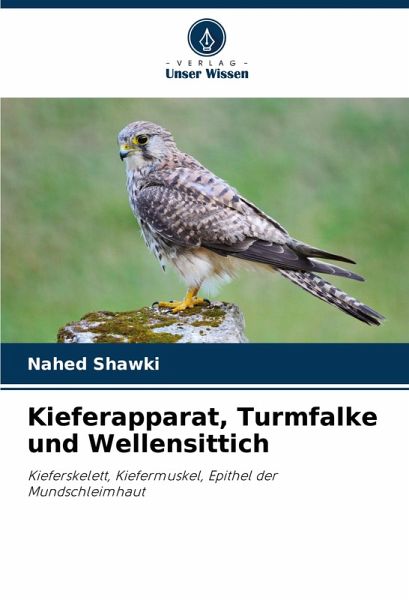 Kieferapparat, Turmfalke und Wellensittich