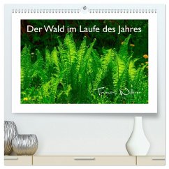 Der Wald im Laufe des Jahres (hochwertiger Premium Wandkalender 2026 DIN A2 quer), Kunstdruck in Hochglanz Der Wald im Laufe des Jahres (hochwertiger Premium Wandkalender 2026 DIN A2 quer), Kunstdruck in Hochglanz