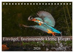 Eisvögel, faszinierende kleine Flieger. (Tischkalender 2026 DIN A5 quer), CALVENDO Monatskalender Eisvögel, faszinierende kleine Flieger. (Tischkalender 2026 DIN A5 quer), CALVENDO Monatskalender