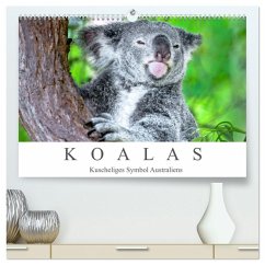 Koalas - Kuscheliges Symbol Australiens (hochwertiger Premium Wandkalender 2026 DIN A2 quer), Kunstdruck in Hochglanz Koalas - Kuscheliges Symbol Australiens (hochwertiger Premium Wandkalender 2026 DIN A2 quer), Kunstdruck in Hochglanz