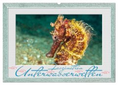 Faszination Unterwasserwelten (Wandkalender 2026 DIN A2 quer), CALVENDO Monatskalender
