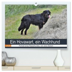 Ein Hovawart, ein Wachhund (hochwertiger Premium Wandkalender 2026 DIN A2 quer), Kunstdruck in Hochglanz Cover Ein Hovawart, ein Wachhund (hochwertiger Premium Wandkalender 2026 DIN A2 quer), Kunstdruck in Hochglanz