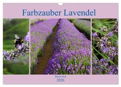 Cover Farbzauber Lavendel (Wandkalender 2026 DIN A3 quer), CALVENDO Monatskalender