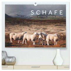 Cover Schafe - Raues Wetter, weiche Wolle (hochwertiger Premium Wandkalender 2026 DIN A2 quer), Kunstdruck in Hochglanz