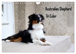 Australian Shepherd Tri Color (Wandkalender 2026 DIN A4 quer), CALVENDO Monatskalender Australian Shepherd Tri Color (Wandkalender 2026 DIN A4 quer), CALVENDO Monatskalender
