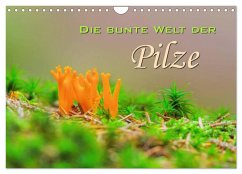 Cover Die bunte Welt der Pilze (Wandkalender 2026 DIN A4 quer), CALVENDO Monatskalender