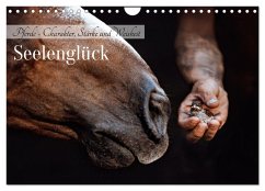 Seelenglück Kalender - Pferde - Charakter, Stärke, Weisheit (Wandkalender 2026 DIN A4 quer), CALVENDO Monatskalender Seelenglück Kalender - Pferde - Charakter, Stärke, Weisheit (Wandkalender 2026 DIN A4 quer), CALVENDO Monatskalender