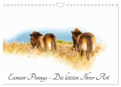 Exmoor Ponnys - Die letzten Ihrer Art (Wandkalender 2026 DIN A4 quer), CALVENDO Monatskalender