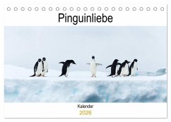 Cover Pinguinliebe (Tischkalender 2026 DIN A5 quer), CALVENDO Monatskalender