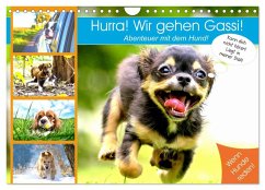 Hurra! Wir gehen Gassi! Abenteuer mit dem Hund! (Wandkalender 2026 DIN A4 quer), CALVENDO Monatskalender