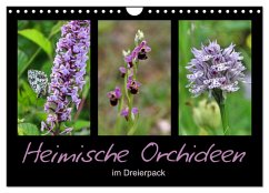 Cover Heimische Orchideen im Dreierpack (Wandkalender 2026 DIN A4 quer), CALVENDO Monatskalender