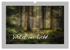 Cover Wald im Licht (Wandkalender 2026 DIN A3 quer), CALVENDO Monatskalender