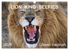 Cover LION KING SELFIES Löwen hautnah (Wandkalender 2026 DIN A3 quer), CALVENDO Monatskalender