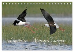 Limikolen - Watvögel Europas (Tischkalender 2026 DIN A5 quer), CALVENDO Monatskalender Limikolen - Watvögel Europas (Tischkalender 2026 DIN A5 quer), CALVENDO Monatskalender